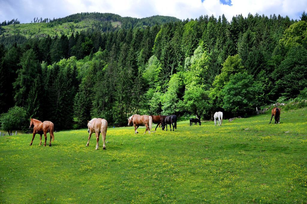 Raderhof
