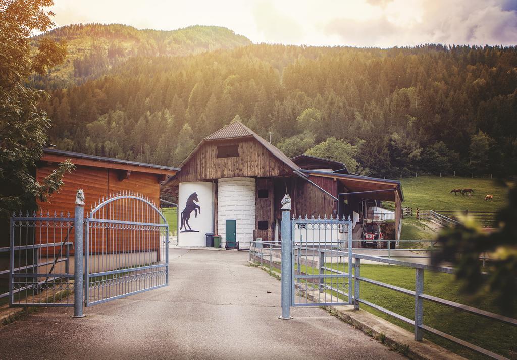 Raderhof Feld am See